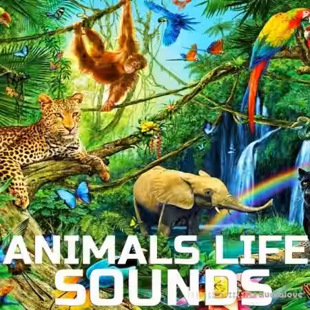 Cloud Nine Records Animals Life Sounds [FLAC] - Sample Pack Artwork