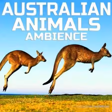 Cloud Nine Records Australian Animals Ambience [FLAC] - Sample Pack Artwork