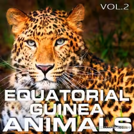 Cloud Nine Records Equatorial Guinea Animals Vol.2 [FLAC] - Sample Pack Artwork