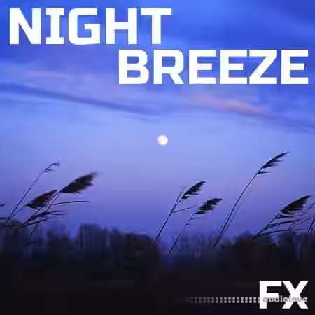 Cloud Nine Records Night Breeze FX [FLAC] - Sample Pack Artwork