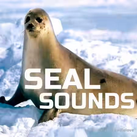 Cloud Nine Records Seal Sounds [FLAC] - Sample Pack Artwork