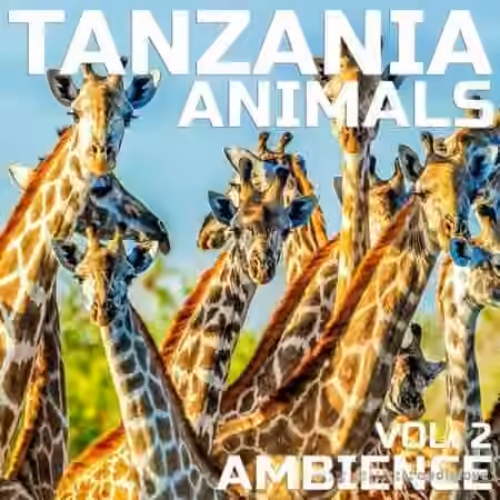 Cloud Nine Records Tanzania Animals Ambience Vol.2 [FLAC] - Sample Pack Artwork