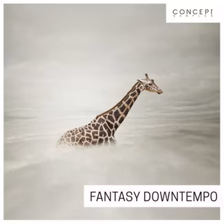 Concept Samples Fantasy Downtempo [WAV]