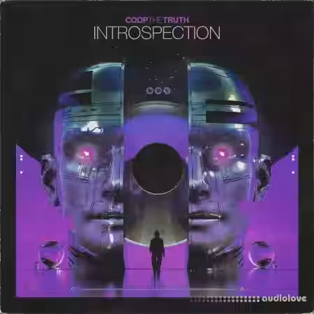 Coop The Truth Introspection (Compositions and Stems) [WAV] - Sample Pack Artwork