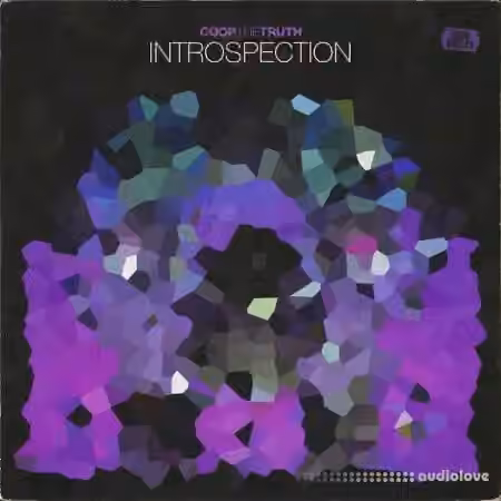Coop The Truth INTROSPECTION (One Shots) [WAV] - Sample Pack Artwork