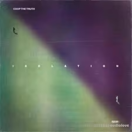Coop The Truth x Nami Isolation (Compositions and Stems) [WAV] - Sample Pack Artwork