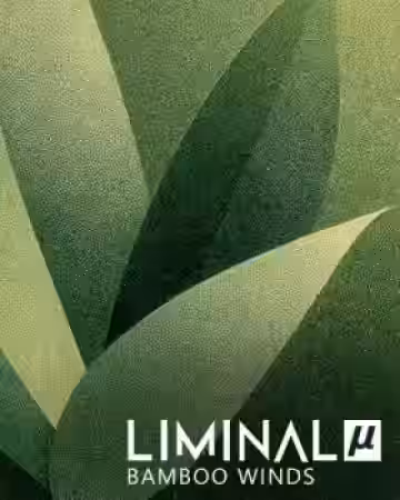 Crocus Soundware Liminal µ: Bamboo Winds [KONTAKT]