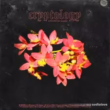 Cryptic Cryptology (Drum Kit) [WAV] - Sample Pack Artwork