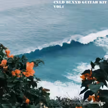 CXLD BLXXD Guitar Kit Vol.1 [WAV] - Sample Pack Artwork