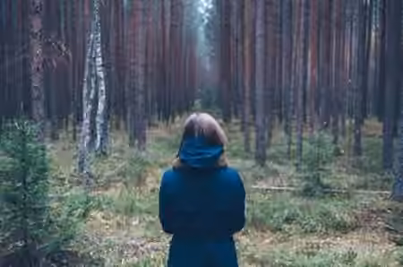 Dacodaji Black Forest Ambiance Generator [Synth Presets] - Sample Pack Artwork