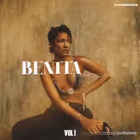 Daneemoe BENITA Burna Boy Guitars Vol.1 [WAV] - Sample Pack Artwork