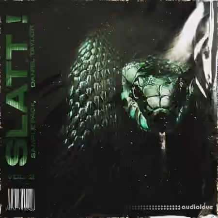 Daniel Taylor SLATT ! Sample Pack Vol.2 (20 Samples, Stems + MIDIs) [WAV, MiDi] - Sample Pack Artwork