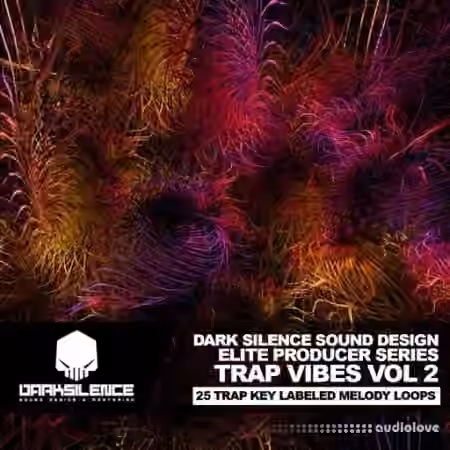 Dark Silence Sound Design Trap Vibes Volume 2 [WAV] - Sample Pack Artwork