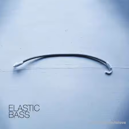 David Hilowitz Elastic Bass [Synth Presets, KONTAKT] - Sample Pack Artwork