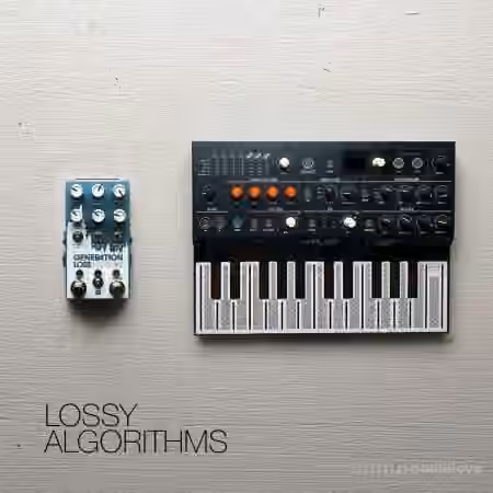 David Hilowitz Lossy Algorithms [Patreon Exclusive] [Decent Sampler] [Synth Presets] - Sample Pack Artwork