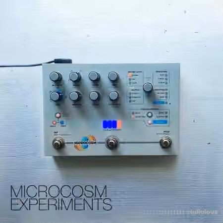 David Hilowitz Microcosm Experiments [Patreon Exclusive] [Decent Sampler] [Synth Presets] - Sample Pack Artwork