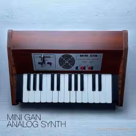 David Hilowitz MINI GAN Analog Synth [Patreon Exclusive] [Decent Sampler] [Synth Presets] - Sample Pack Artwork