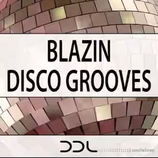 Deep Data Loops Blazin Disco Grooves [WAV, MiDi]