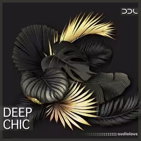 Deep Data Loops Deep Chic [WAV, MiDi] - Sample Pack Artwork