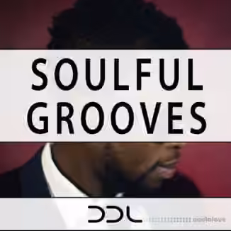 Deep Data Loops Soulful Grooves [WAV, MiDi]