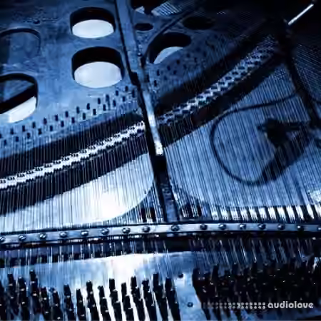 Detunized Rolfing Laid Back Vol.2 [MULTiFORMAT] - Sample Pack Artwork