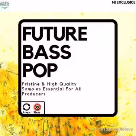 Diamond Sounds Future Bass Pop [WAV] - Sample Pack Artwork
