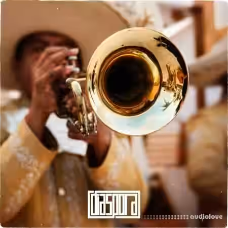 Diaspora Coraz├│n De Mexico Vol. 1 [WAV] - Sample Pack Artwork