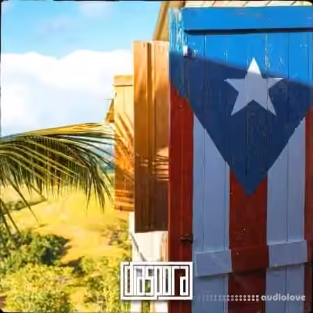 Diaspora Pulse Reggaeton [WAV] - Sample Pack Artwork