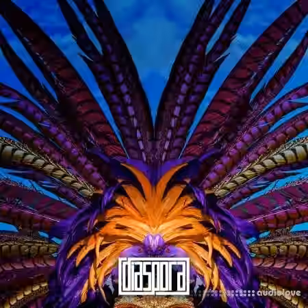 Diaspora Soul of Calypso [WAV] - Sample Pack Artwork