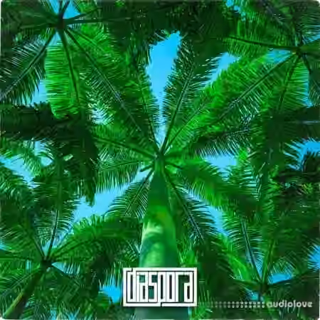 Diaspora Tropic Rhythms Reggaeton [WAV] - Sample Pack Artwork