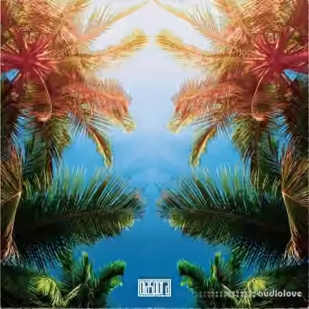 Diaspora Under The Sun Caribbean Drums [WAV] - Sample Pack Artwork