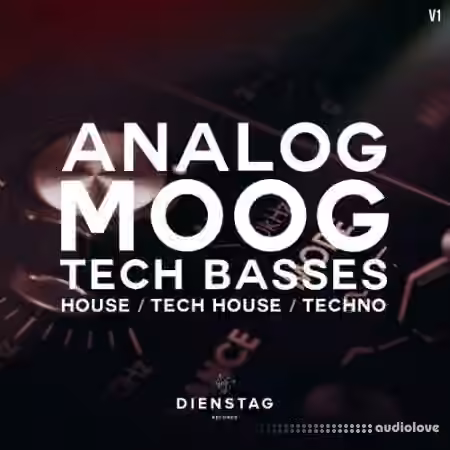 Dienstag Analog Moog Tech Basses 1 [WAV]