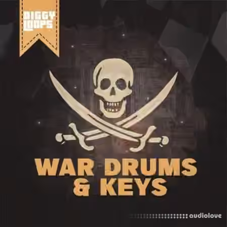 Diggy Loops Movie And Scoring Guitars [WAV] - Sample Pack Artwork