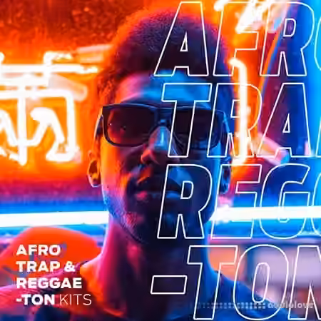 Diginoiz Afro Trap And Reggaeton [WAV] - Sample Pack Artwork