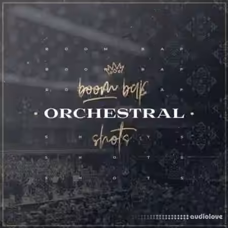 Diginoiz Boom Bap Orchestral Shots [WAV] - Sample Pack Artwork