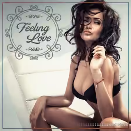 Diginoiz Feeling Love RnB [WAV, AiFF] - Sample Pack Artwork