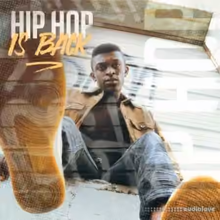 Diginoiz Hip Hop Is Back [WAV] - Sample Pack Artwork