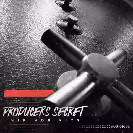 Diginoiz Producers Secret Hip Hop Drums [ACiD, WAV, AiFF] - Sample Pack Artwork