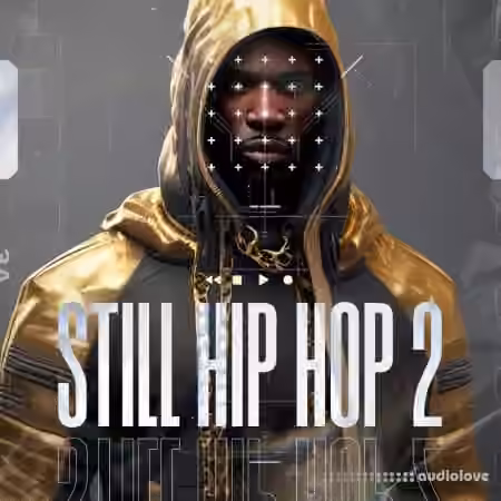 Diginoiz Still Hip Hop 2 [WAV] - Sample Pack Artwork