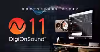 DigiOn DigiOnSound 11 v1.0.8 Regged [WiN]