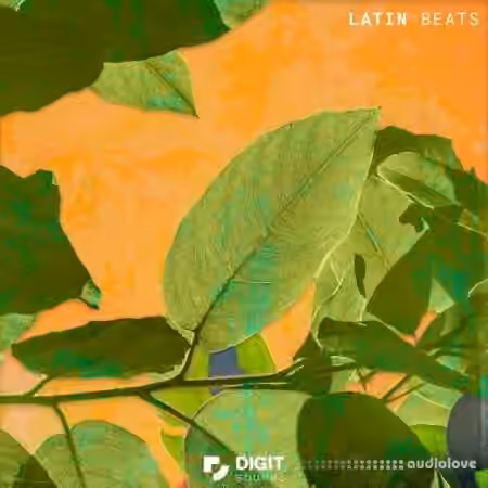 Digit Sounds Latin Beats [WAV] - Sample Pack Artwork
