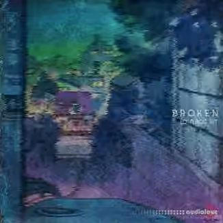 Digital Felicity Broken Lo-Fi Beat Kit [WAV, MiDi, Synth Presets]