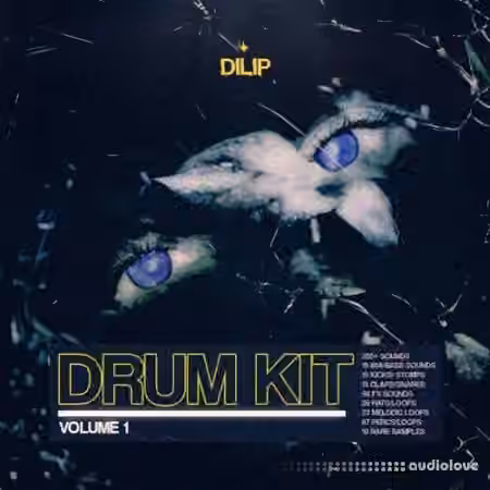 Dilip Drum Kit Vol.1 [WAV] - Sample Pack Artwork