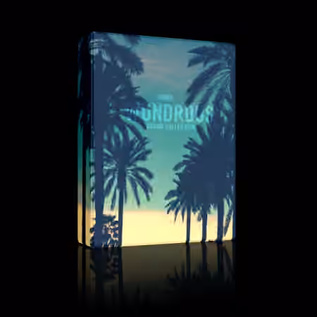 Dinma Beats Wondrous Sound Collection [WAV, DAW Presets] - Sample Pack Artwork