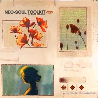 Dionso and Xandros Neo-Soul Toolkit Vol.2 [WAV]