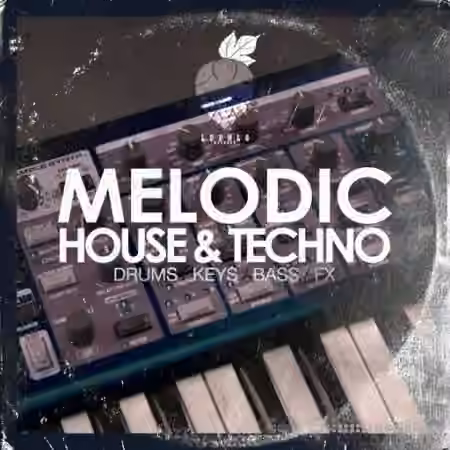 Dirty Music Melodic House and Techno [WAV] - Sample Pack Artwork