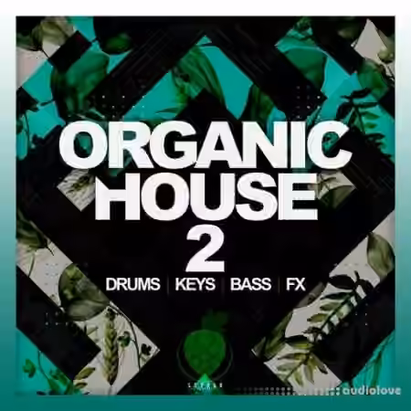 Dirty Music Organic House Vol. 2 [WAV] - Sample Pack Artwork
