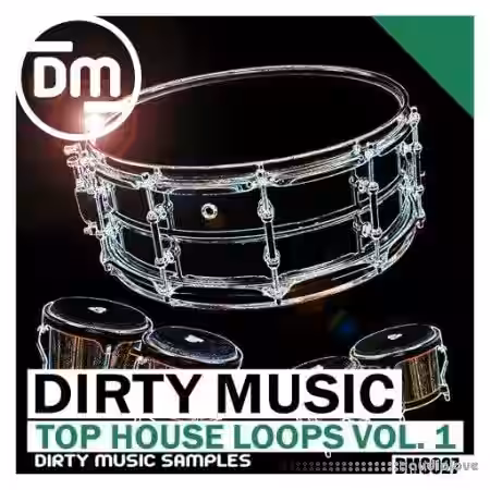 Dirty Music Top House Loops Vol. 1 [WAV] - Sample Pack Artwork