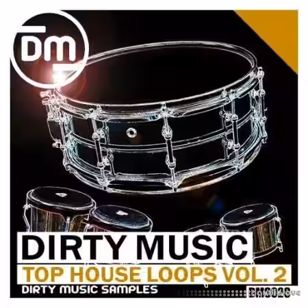 Dirty Music Top House Loops Vol. 2 [WAV] - Sample Pack Artwork