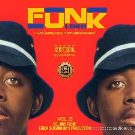 Divided Souls Funk Lord Volume 3 [WAV] - Sample Pack Artwork